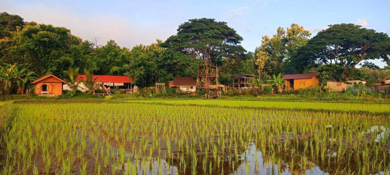 Kaewma Farmstay Khuang Kom Eksteriør bilde