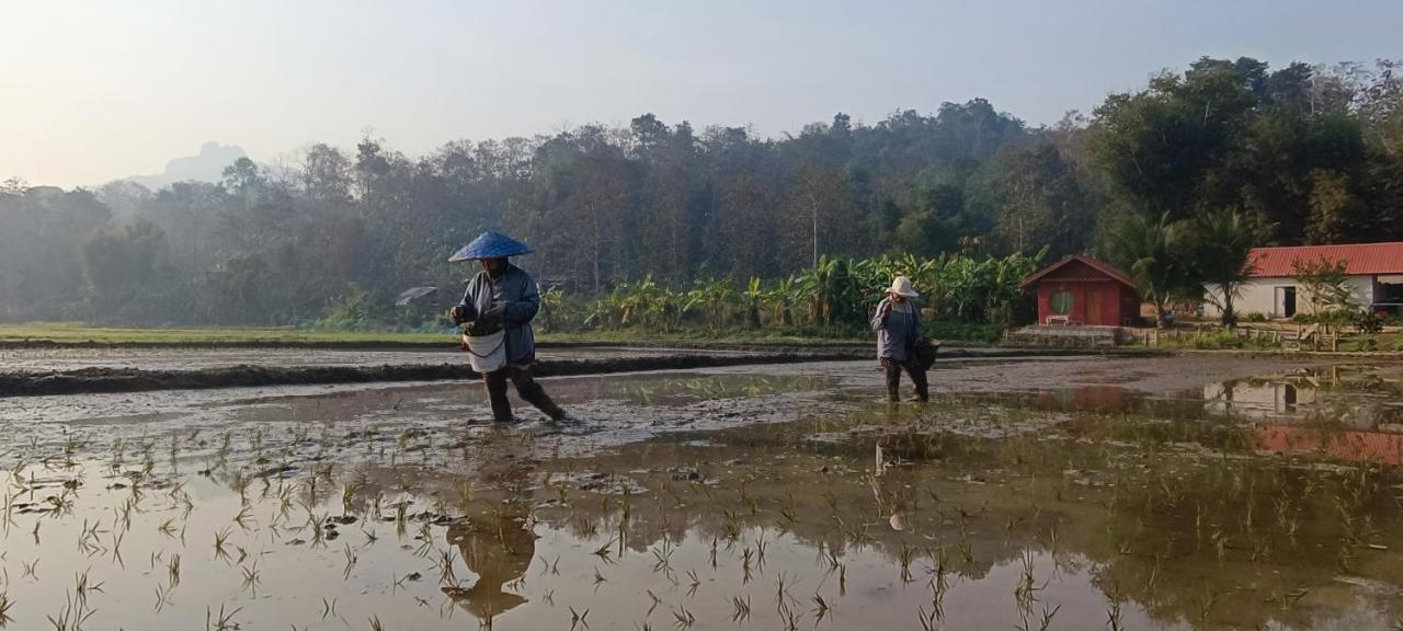 Kaewma Farmstay Khuang Kom Eksteriør bilde