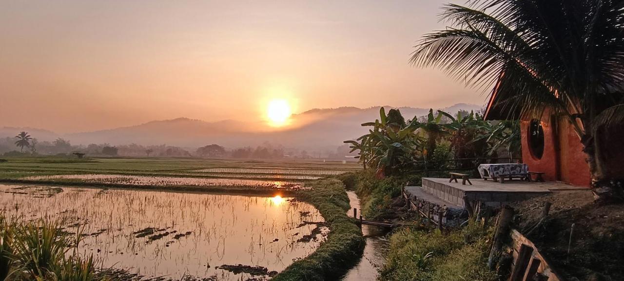 Kaewma Farmstay Khuang Kom Eksteriør bilde