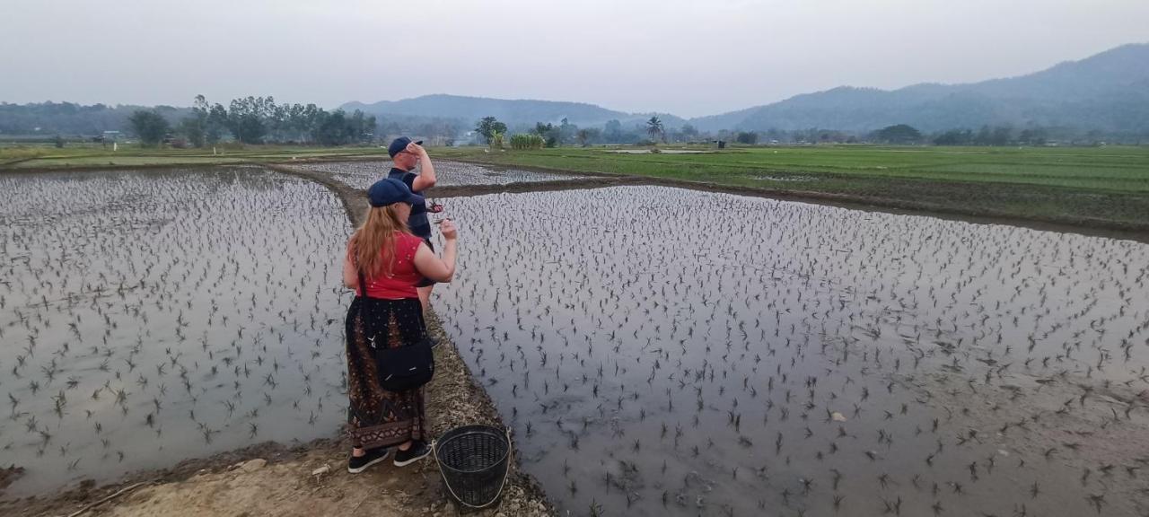 Kaewma Farmstay Khuang Kom Eksteriør bilde