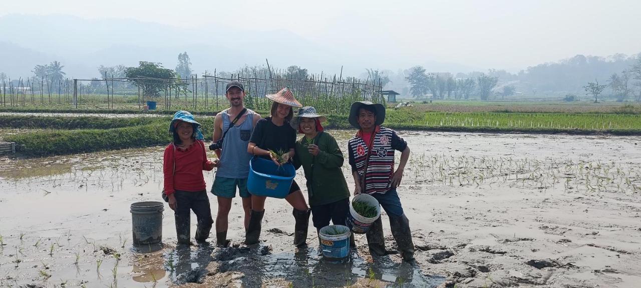 Kaewma Farmstay Khuang Kom Eksteriør bilde