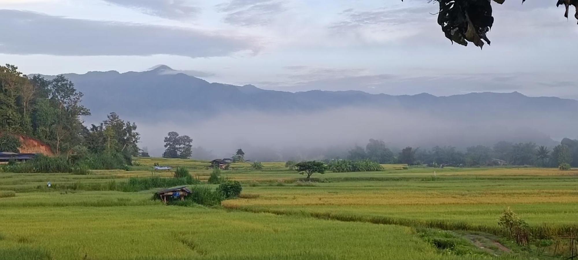 Kaewma Farmstay Khuang Kom Eksteriør bilde