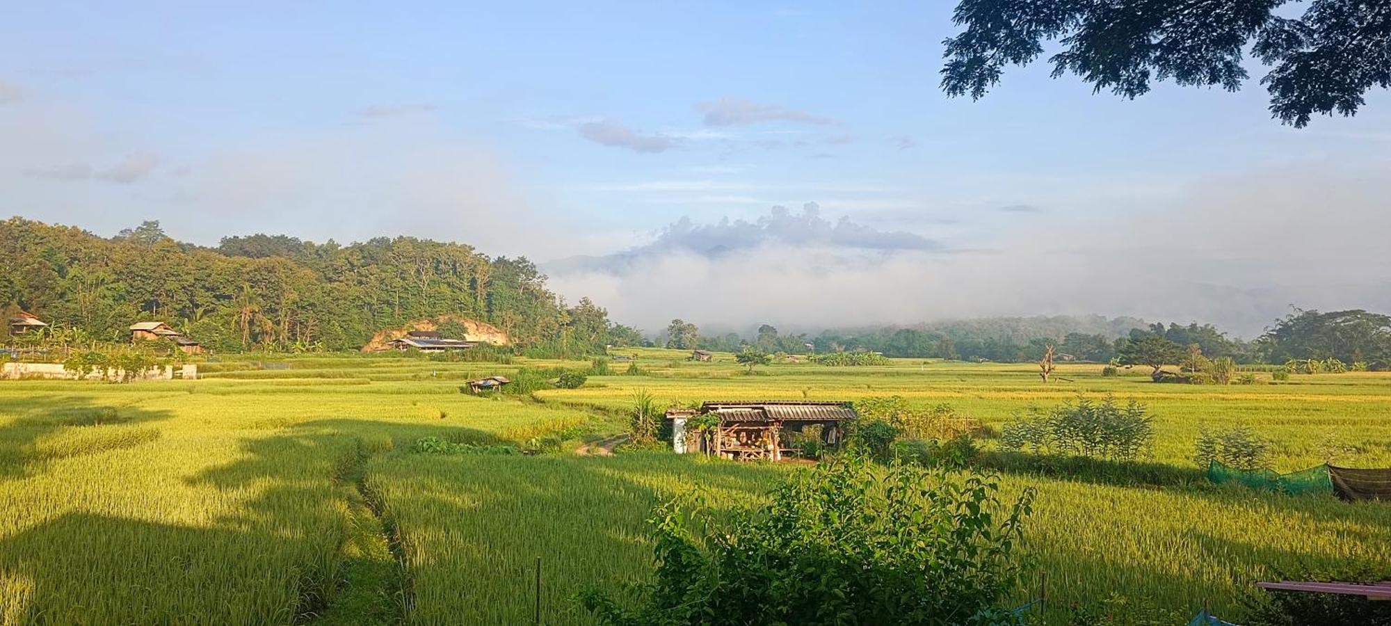 Kaewma Farmstay Khuang Kom Rom bilde