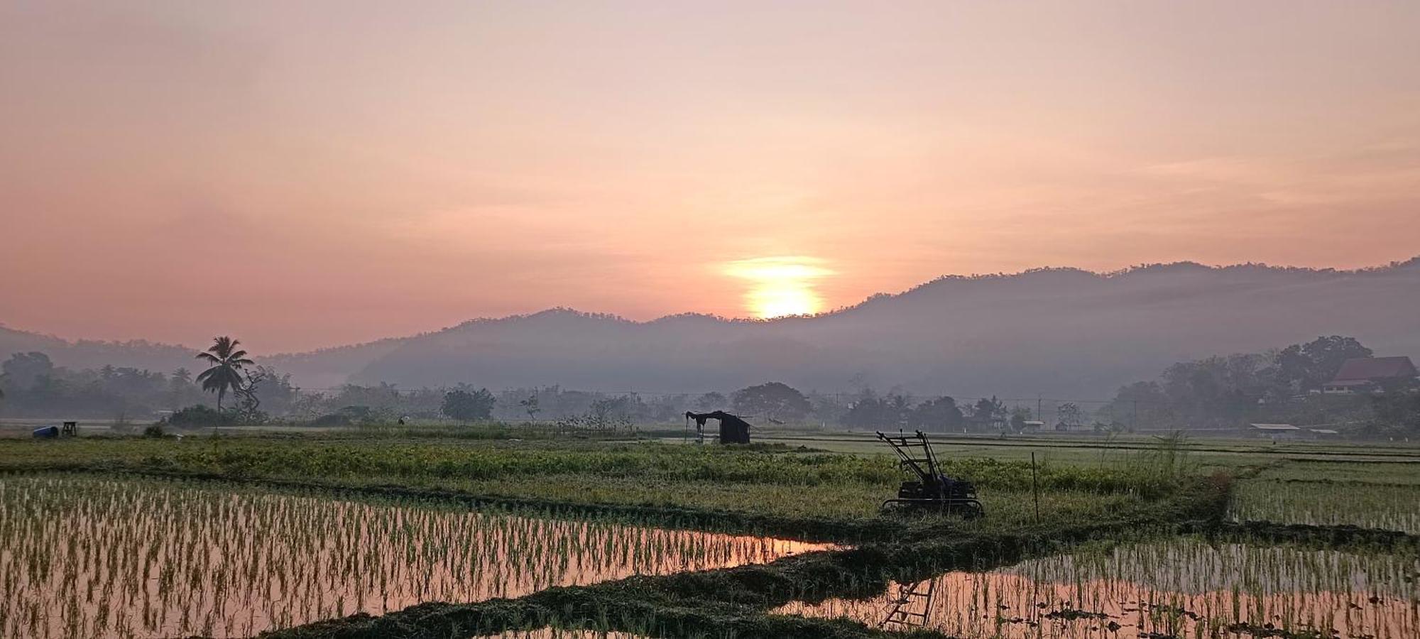 Kaewma Farmstay Khuang Kom Rom bilde