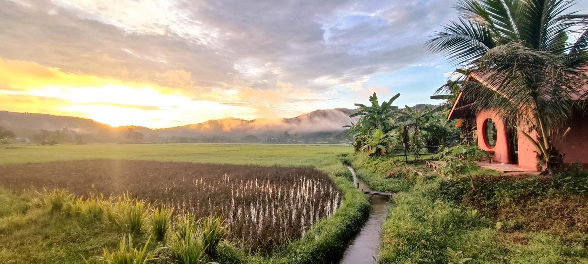Kaewma Farmstay Khuang Kom Rom bilde